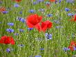 Bild_025a_10.JPG