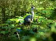 Bild_025a_13.jpg