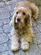 Bild_025a_14.JPG