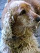 Bild_025a_15.jpg