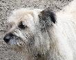 Bild_025a_16.JPG