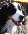 Bild_025a_17.jpg