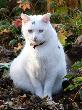 Bild_025a_18.jpg