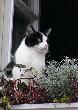 Bild_025a_22.jpg