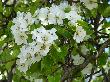 Bild_025a_23.JPG