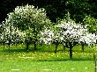 Bild_025a_25.JPG