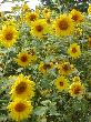 Bild_025a_29.JPG