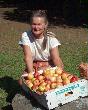 Bild_025a_31.JPG