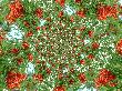 Bild_025a_5.JPG