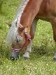 Bild_025a_7.JPG