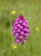 Bild_025a_8.JPG