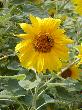 P1010001.JPG