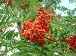 DSC00066.JPG