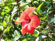 P1010203.JPG