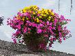 P1010327.JPG