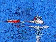 P8020002a.JPG