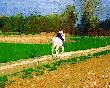 Pic00350a.jpg
