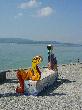 DSC00143.JPG