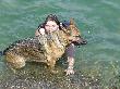 DSC00369.jpg