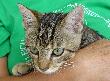 DSC00477.jpg