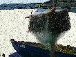 P1030098.jpg