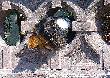 DSC00322a.jpg
